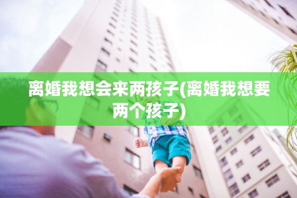 离婚我想会来两孩子(离婚我想要两个孩子)