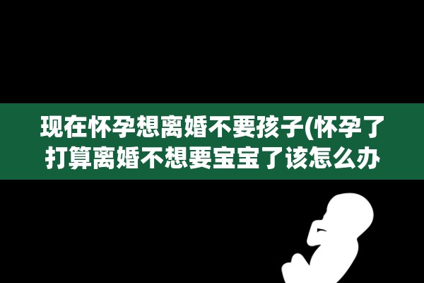 现在怀孕想离婚不要孩子(怀孕了打算离婚不想要宝宝了该怎么办)