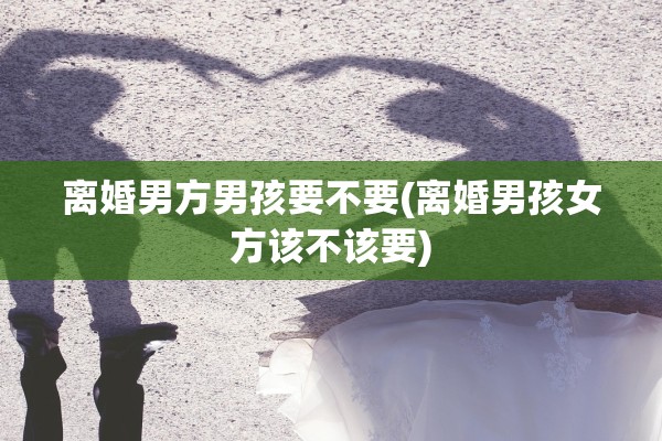 离婚男方男孩要不要(离婚男孩女方该不该要)
