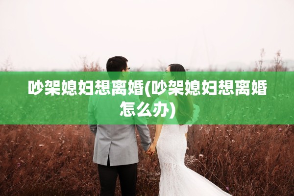 吵架媳妇想离婚(吵架媳妇想离婚怎么办)
