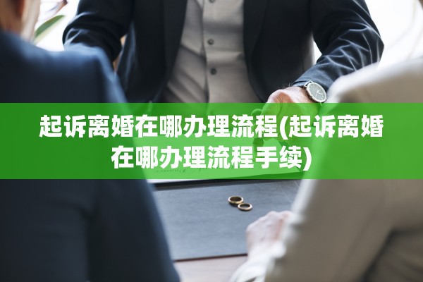 起诉离婚在哪办理流程(起诉离婚在哪办理流程手续)