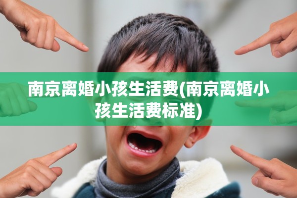 南京离婚小孩生活费(南京离婚小孩生活费标准)