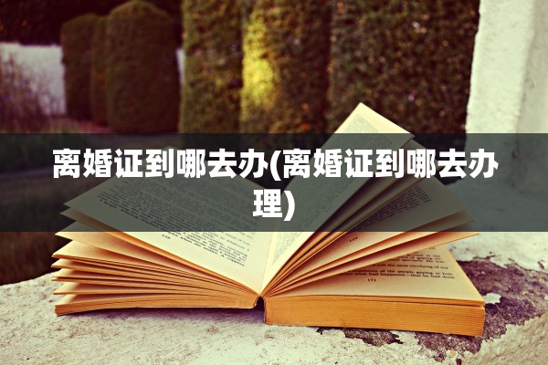 离婚证到哪去办(离婚证到哪去办理) 离婚证到哪去办(离婚证到哪去办理)
