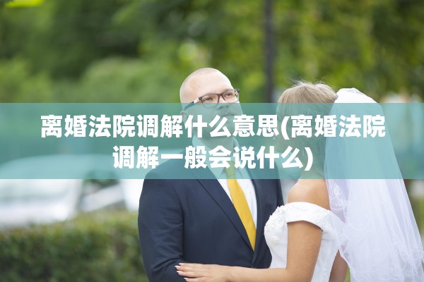 离婚法院调解什么意思(离婚法院调解一般会说什么)