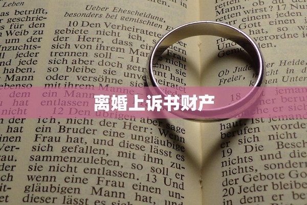离婚上诉书财产