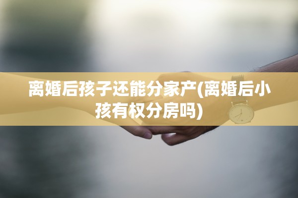 离婚后孩子还能分家产(离婚后小孩有权分房吗)