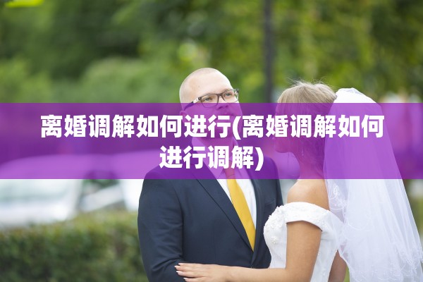 离婚调解如何进行(离婚调解如何进行调解)