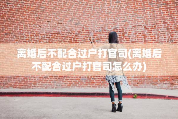 离婚后不配合过户打官司(离婚后不配合过户打官司怎么办)