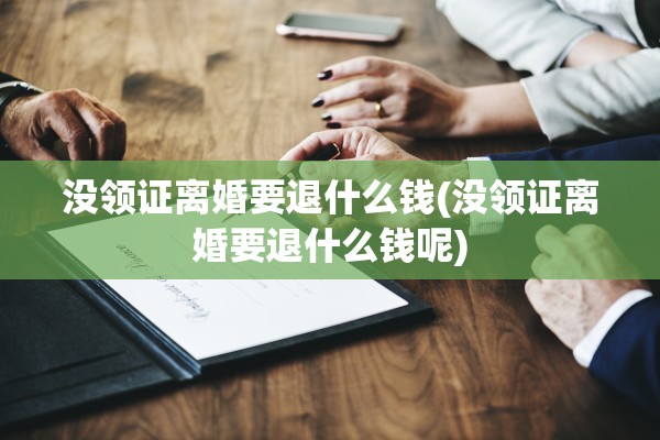 没领证离婚要退什么钱(没领证离婚要退什么钱呢)
