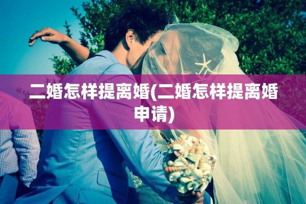 二婚怎样提离婚(二婚怎样提离婚申请)