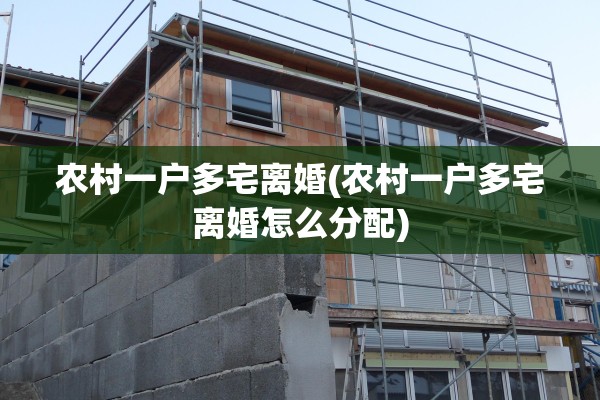 农村一户多宅离婚(农村一户多宅离婚怎么分配)