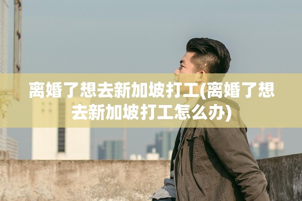 离婚了想去新加坡打工(离婚了想去新加坡打工怎么办)