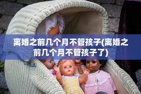 离婚之前几个月不管孩子(离婚之前几个月不管孩子了)