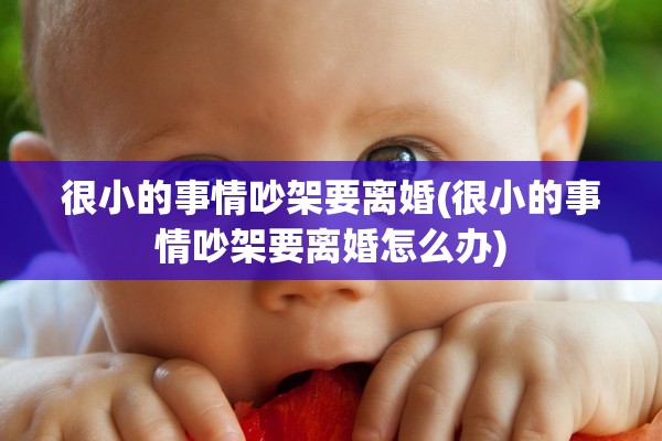 很小的事情吵架要离婚(很小的事情吵架要离婚怎么办)
