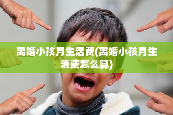 离婚小孩月生活费(离婚小孩月生活费怎么算)