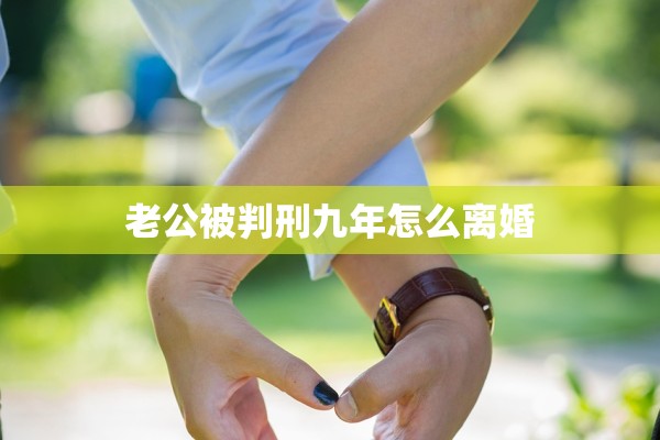 老公被判刑九年怎么离婚