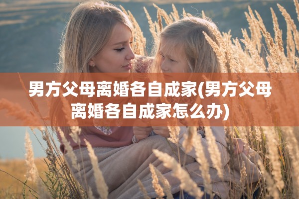 男方父母离婚各自成家(男方父母离婚各自成家怎么办)