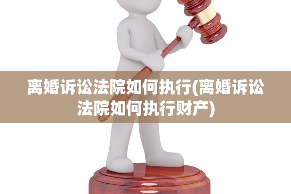 离婚诉讼法院如何执行(离婚诉讼法院如何执行财产)