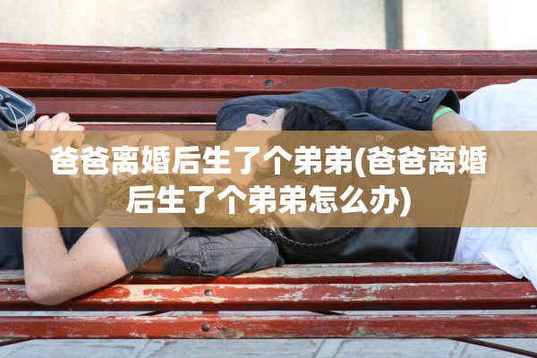 爸爸离婚后生了个弟弟(爸爸离婚后生了个弟弟怎么办)