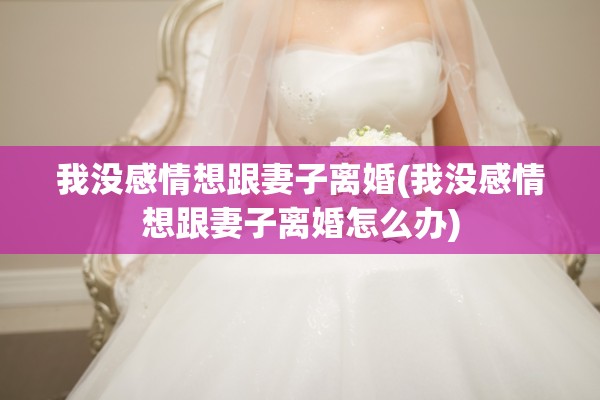 我没感情想跟妻子离婚(我没感情想跟妻子离婚怎么办)