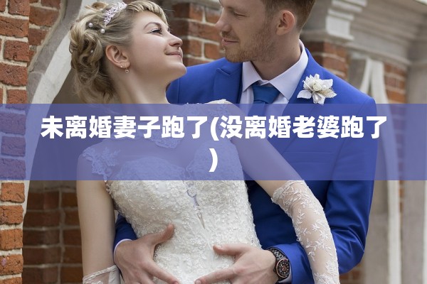 未离婚妻子跑了(没离婚老婆跑了)