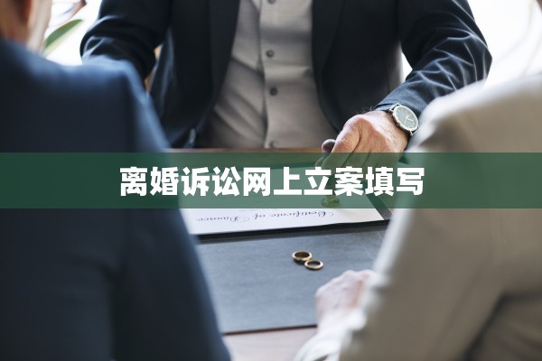 离婚诉讼网上立案填写