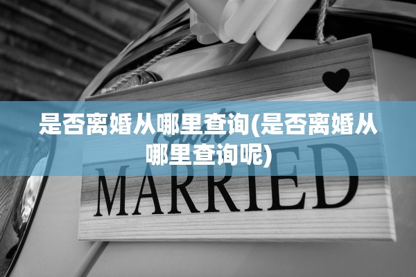 是否离婚从哪里查询(是否离婚从哪里查询呢)