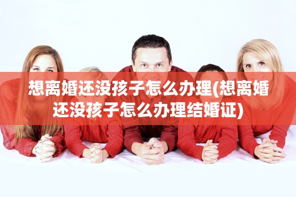 想离婚还没孩子怎么办理(想离婚还没孩子怎么办理结婚证)