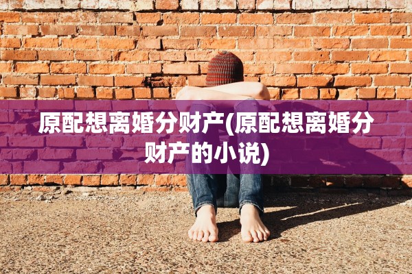 原配想离婚分财产(原配想离婚分财产的小说) 原配想离婚分财产(原配想离婚分财产的小说)
