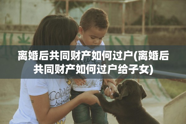 离婚后共同财产如何过户(离婚后共同财产如何过户给子女) 离婚后共同财产如何过户(离婚后共同财产如何过户给子女)