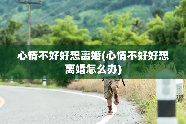 心情不好好想离婚(心情不好好想离婚怎么办)