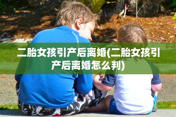 二胎女孩引产后离婚(二胎女孩引产后离婚怎么判)