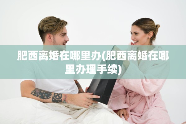 肥西离婚在哪里办(肥西离婚在哪里办理手续)