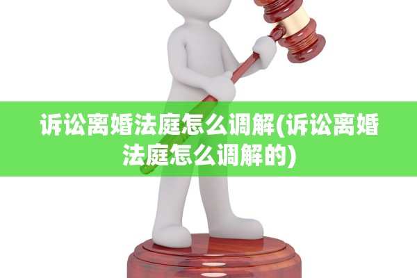 诉讼离婚法庭怎么调解(诉讼离婚法庭怎么调解的)