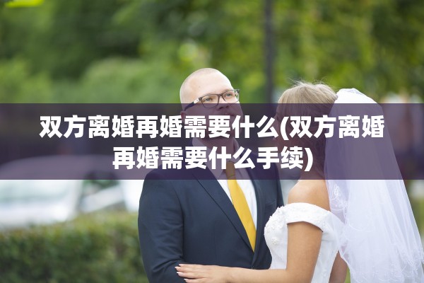 双方离婚再婚需要什么(双方离婚再婚需要什么手续)