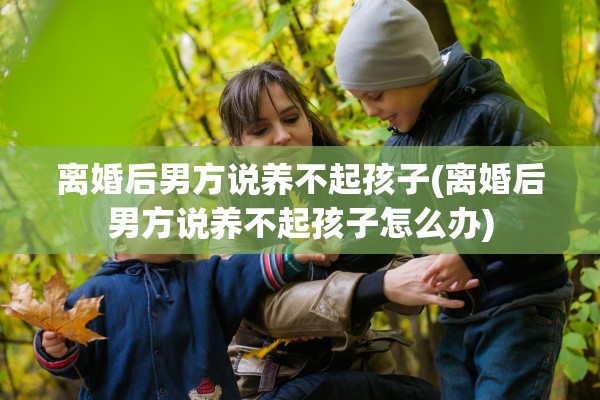 离婚后男方说养不起孩子(离婚后男方说养不起孩子怎么办)