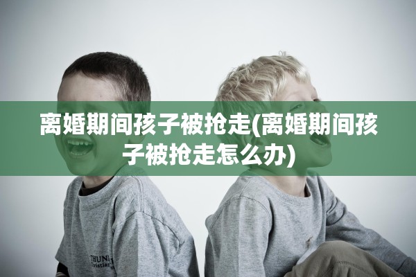 离婚期间孩子被抢走(离婚期间孩子被抢走怎么办)
