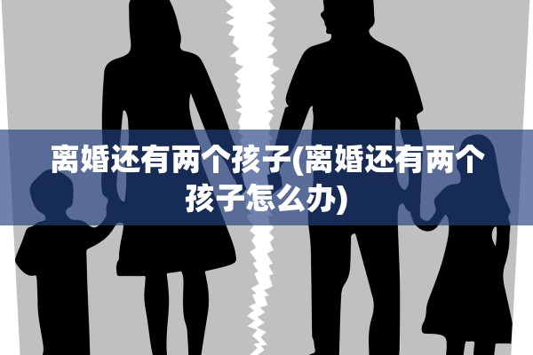离婚还有两个孩子(离婚还有两个孩子怎么办)