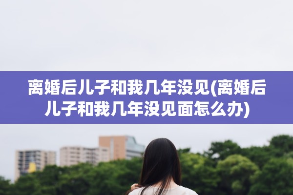 离婚后儿子和我几年没见(离婚后儿子和我几年没见面怎么办)