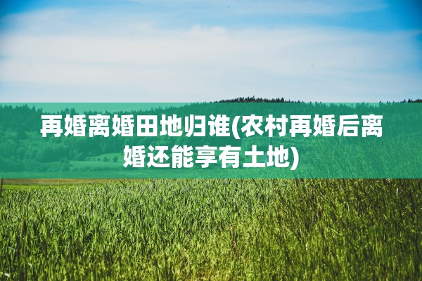 再婚离婚田地归谁(农村再婚后离婚还能享有土地)