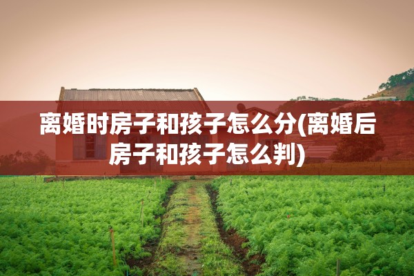 离婚时房子和孩子怎么分(离婚后房子和孩子怎么判)