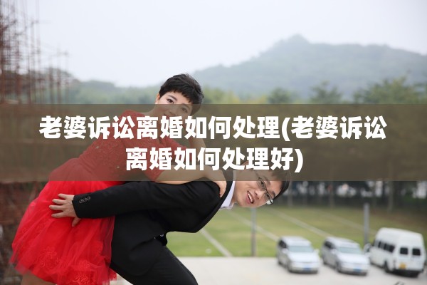 老婆诉讼离婚如何处理(老婆诉讼离婚如何处理好)