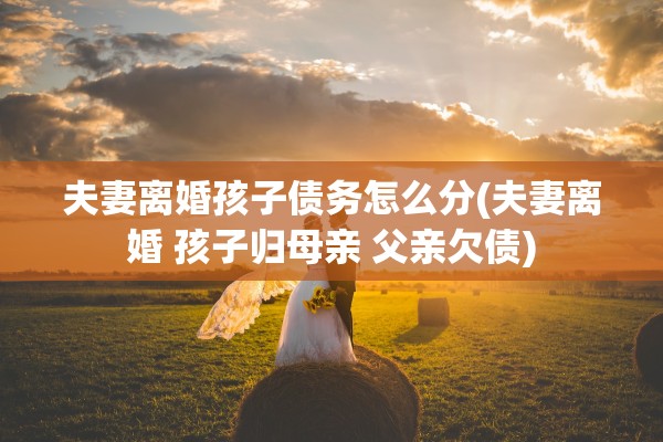 夫妻离婚孩子债务怎么分(夫妻离婚 孩子归母亲 父亲欠债) 夫妻离婚孩子债务怎么分(夫妻离婚 孩子归母亲 父亲欠债)