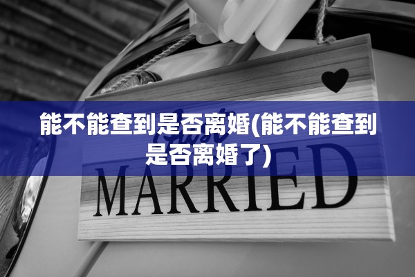 能不能查到是否离婚(能不能查到是否离婚了) 能不能查到是否离婚(能不能查到是否离婚了)