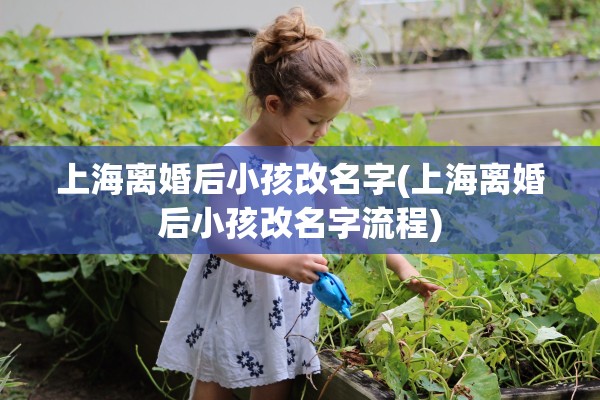 上海离婚后小孩改名字(上海离婚后小孩改名字流程) 上海离婚后小孩改名字(上海离婚后小孩改名字流程)