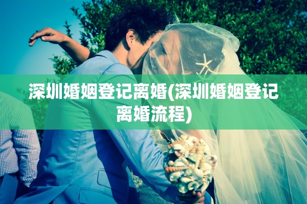 深圳婚姻登记离婚(深圳婚姻登记离婚流程)