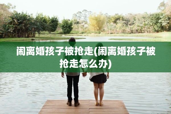 闹离婚孩子被抢走(闹离婚孩子被抢走怎么办)