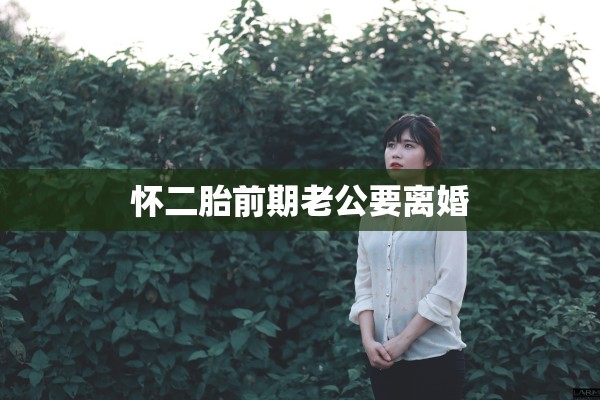 怀二胎前期老公要离婚