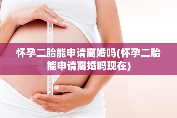 怀孕二胎能申请离婚吗(怀孕二胎能申请离婚吗现在)