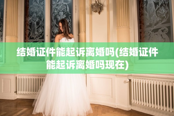 结婚证件能起诉离婚吗(结婚证件能起诉离婚吗现在)